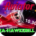 antigua hawksbill Ultimate Pro v3.3.1