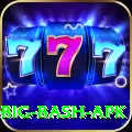 bbl big bash apk Premium v5.4.6