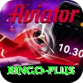 bingo VIP Pro v5.6.2