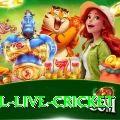 bpl live cricket Premium Plus v2.6.1