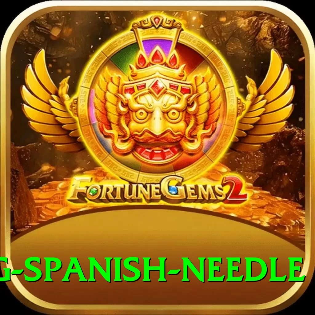 canyoning spanish needle Premium Edition v4.9.3 - 2