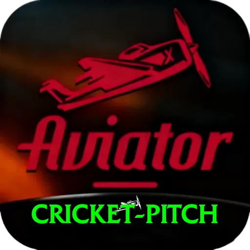 cricket pitch VIP v4.0.2 - 2