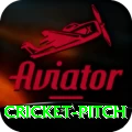 cricket pitch VIP v4.0.2