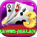 dawid malan VIP Edition v4.6.0