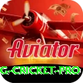 eng cricket Casino Prime v1.0.1