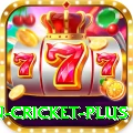 fastest ball in cricket APK Royal v3.9.2