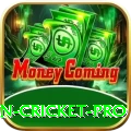 fastest ball in cricket - Gaming VIP