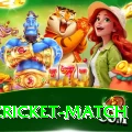 india cricket match Pro1 v5.0.5