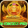 india pakistan cricket Super PK v1.4.3