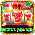 international cricket match Plus Pro v2.2.8
