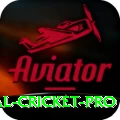 international cricket Jackpot Pro v2.7.5