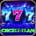 ireland cricket team Turbo Pro v4.6.0