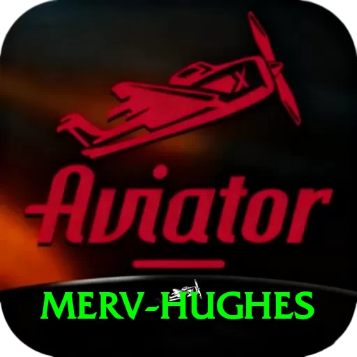 merv hughes Pro Edition v3.3.1 - 2