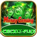 most runs in international cricket Slots VIP v4.8.6