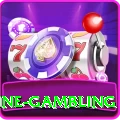 online gambling Pro Edition v2.8.5