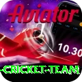 pakistan women cricket team Apps (Tools & Injectors) VIP v5.0.5