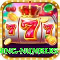 powerball winning numbers VIP Edition v5.8.8