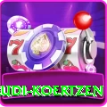 rudi koertzen Turbo v1.9.3