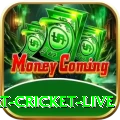 smart cricket live Pro Edition v3.7.4