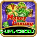 smartcric live cricket Games (Casino & Earning) Gold v4.5.0