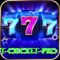 test cricket Live Casino Ultimate