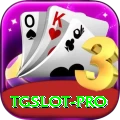 tgslot Pro Edition v2.3.0