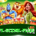 tnpl live score Official v3.0.1