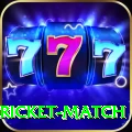 to day cricket match Pro Edition v3.4.6