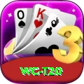 wc t20 Deluxe Edition v4.9.9