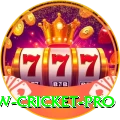 willow cricket - VIP Super